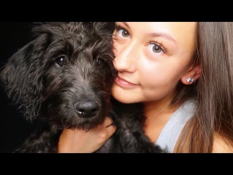 ASMR With My Puppy ♡