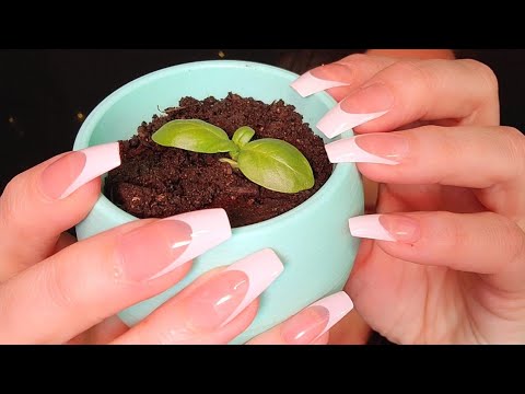 ASMR Textured Scratching On Little Planters (Whispered) Long Nails
