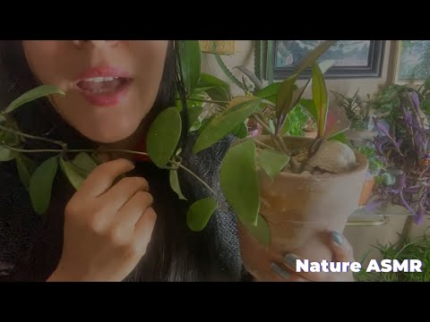 ASMR GREENHOUSE VISIT FOR POTIONS CLASS