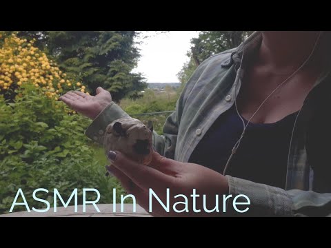 ASMR In Nature-Tapping And Scratching