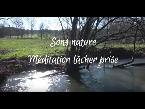 ASMR Nature 🍁 Méditation Ancrage 🌿  Moment présent