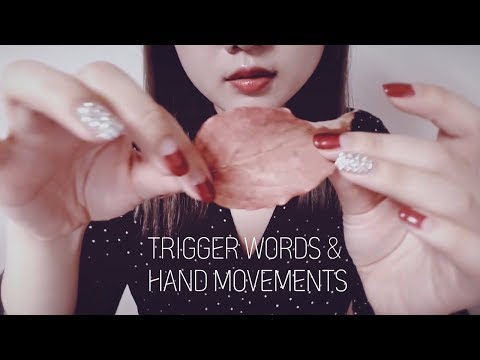 ASMR 마법같이 잠이드는 단어반복 Trigger Words & Hand Movements