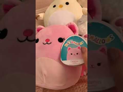 ASMR Plushie Show and Tell 🧸