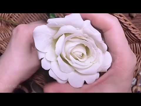 asmr - White Rose relaxing sounds