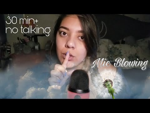 ASMR 🌬 Blowing in Your Ears {No Talking} The Perfect Background Sound For Sleep ♡