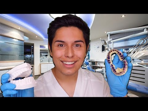 ASMR | Dentist Examines Your Teeth!