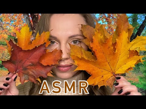 Осенний АСМР 🍁 Autumn ASMR 🍂