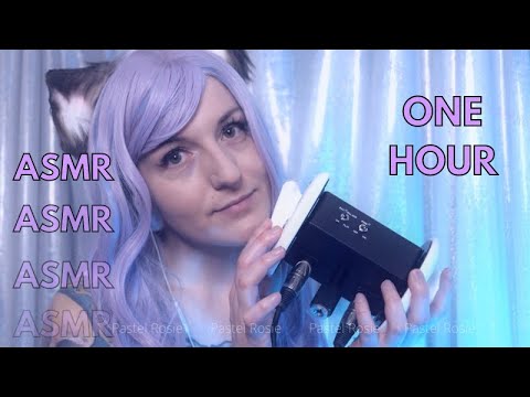 ASMR 🐱 ONE HOUR Counting You To Sleep 😴 PASTEL ROSIE Tapping Soft Kitty Whispers Tongue Flutters