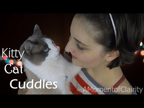 [ASMR] Purrs Snuggles & Noms | Meet My Silly Siamese Kitty | No Talking