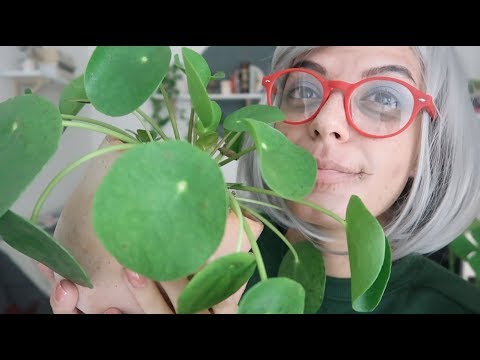 ASMR | Nonna Ti Mostra Le Sue Piante! 🌿 [ft. Flob] [Italian]