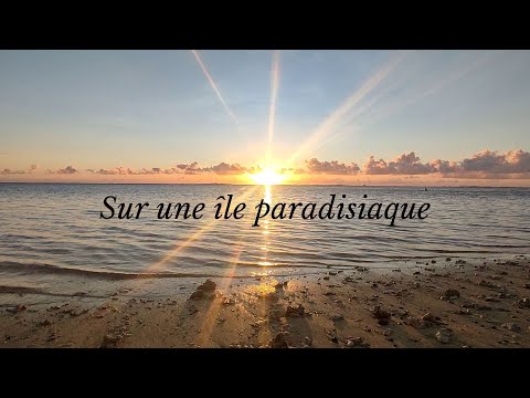 ☀ FIRST ASMR SUNSET ! ☀ Accueille la nouvelle année (positive, care, island, fr)