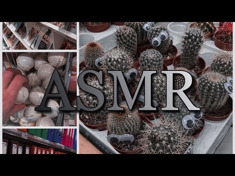 АСМР в магазине| ASMR in a supermarket🛒