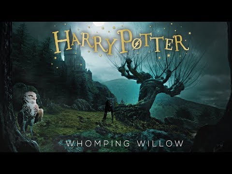 Whomping Willow at Midnight 🌕 [ASMR] ⚡ Harry Potter Inspired Ambience
