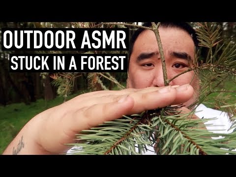 ASMR Outdoors (Stuck in a Forest ) | MattyTingles