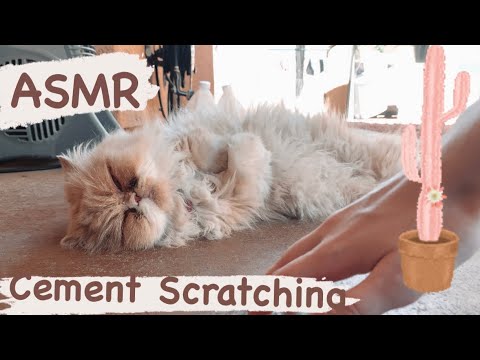 ASMR Cement Scratching (Outdoor Sounds)