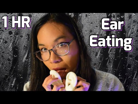 ASMR: 1 HOUR LOOPED Ear Eating in the Rain👂🌧️ (+ Tongue Flutters & Licking) [Binaural, No Talking]