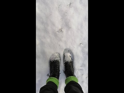 ASMR Advent Calendar - Day 20 - Walking in Snow - Use Headphones!!