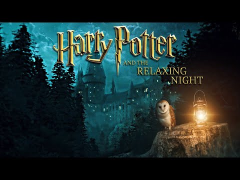 Dreams of Hogwarts✨Watching the Moon with your Owl [Ambience & Soft Music] Relaxing Night at Forest