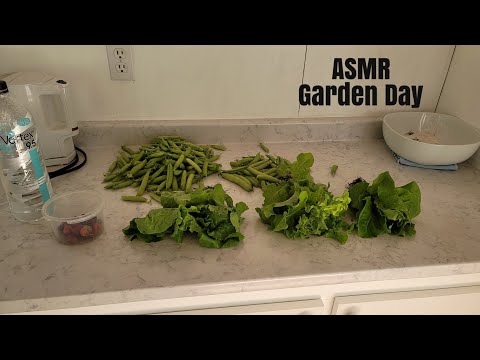 ASMR Garden Day
