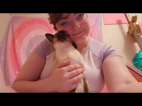 ASMR Cat Purring and Pampering 😽