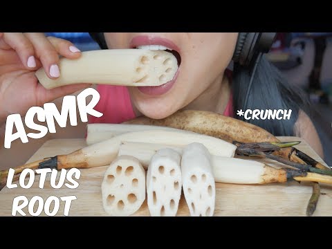ASMR Lotus Root (EXTREME SATISFYING CRUNCH EATING SOUNDS) No Talking | SAS-ASMR