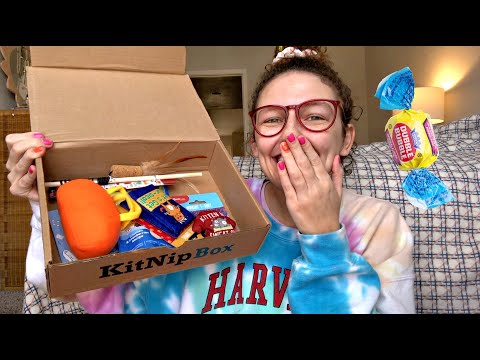 ASMR~ 🐈💛opening presents for my CAT! (tingly GUM chewing!)🐈💛