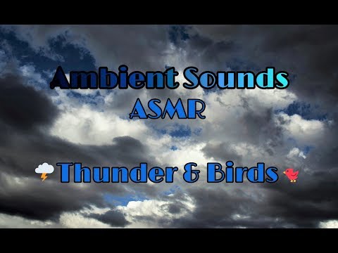 ASMR NATURE SOUNDS: Spring Storms - Thunder & Birdsong 🌩️🕊️ | Ambient Sounds for Sleep & Relaxation