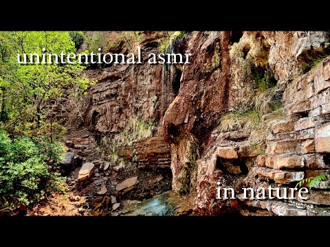 Unintentional ASMR on a Hike 😴🌵 (No Talking)