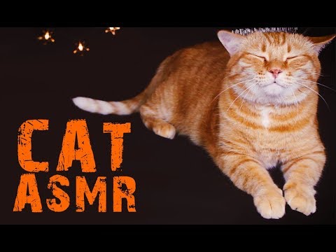 ASMR Cat - Licking, Purring, Chilling and Biting - No Talking