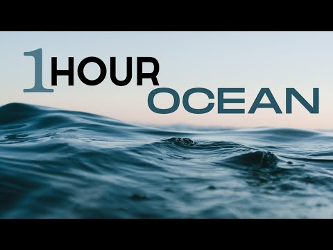 ASMR ❤️ Pacific Ocean Tranquility 1HOUR 🌊