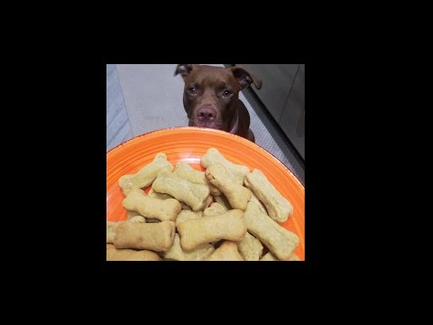 #AsmrFunny - Eating with Ariel and Artù 🐶😍 Dogs Asmr (Level 3)