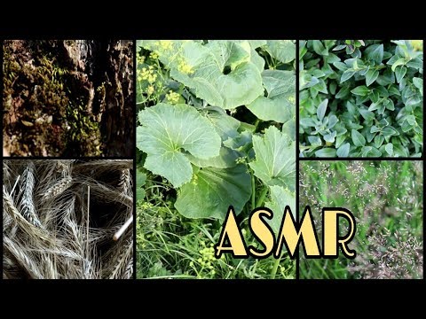 ASMR CZ /CZECH/ Zvuky z přírody (No talking) nature sounds