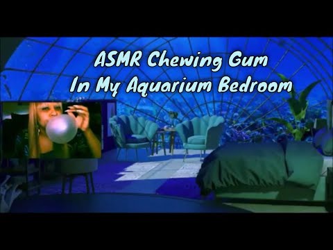 Chewing Gum in My Aquarium Bedroom + ASMR Sounds of Ambience