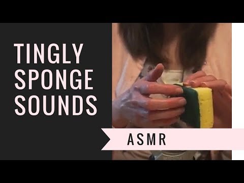 [ASMR] Tingly Sponge! Tapping, Scratching, and Crinkly Sponge Sounds