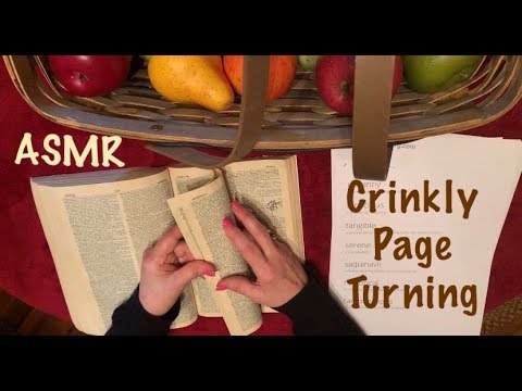 ASMR Request/Book page turning/Paper crinkles/Old dictionary (No talking)