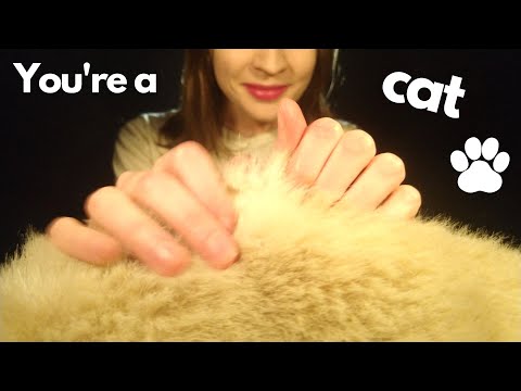 ASMR, but You're a Cat (Role-play, personal attention, soft spoken, mouthsounds, soft spoken)