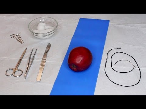 ASMR | Surgery On An Apple