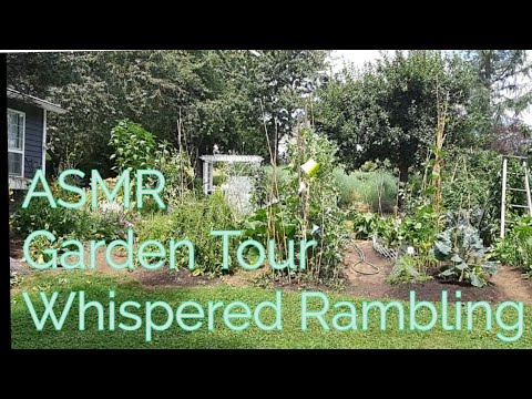 ASMR Garden Tour(Whispered Rambling)