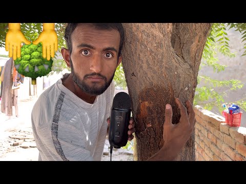 ASMR Giving A Tree Massage