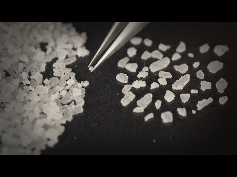 Counting Salt Crystals | ASMR