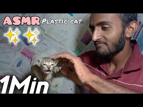 ASMR 1 Minute Plastic Cat 🐈