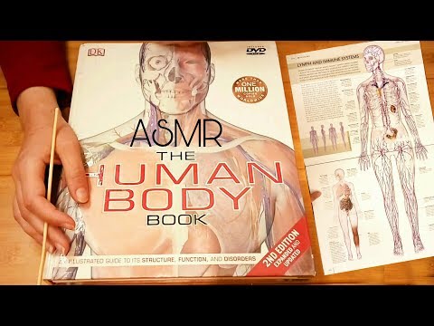 What is the Lymph System? Human Body Book ASMR