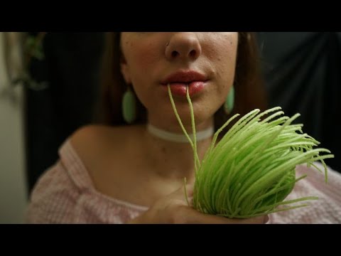 ASMR- Up Close Eating Easter Grass (Mouth Sounds)