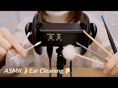 [Japanese ASMR] 6 types of Ear Cleaning Sounds / 耳かきの音