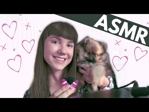 [ASMR] With A Pomeranian Puppy