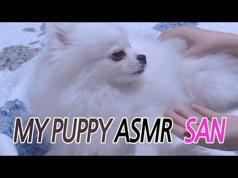 [ASMR] Let me help you sleep.  저의 사랑스러운 댕댕이 산이에요 .   No Talking