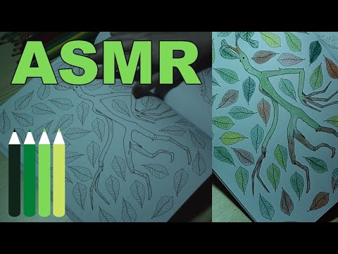 ASMR | Coloring Bowtruckle (no talking) ~ Fantastic Beasts and Where to Find Them