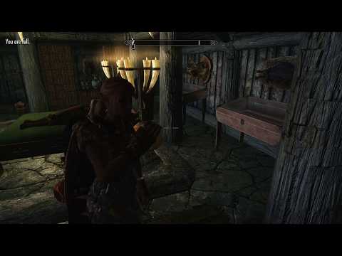 ASMR: TESV Skyrim - Convincing Delphine I am the Dragonborn