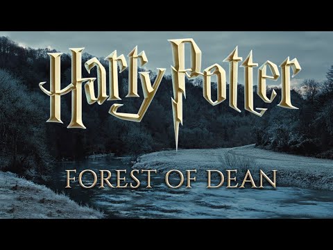 Forest of Dean ◈ Winter ASMR | Relaxing Howling Wind | Harry Potter inspired Ambience & Soft Music