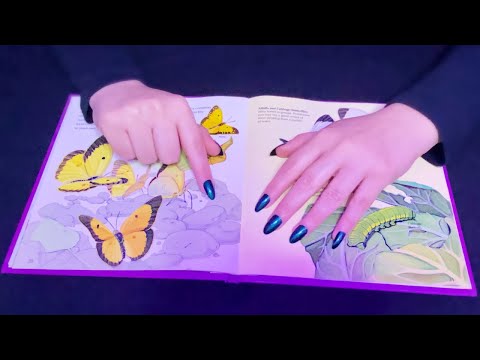 ASMR • Tracing on Books 📖 Over Describing (Extremely Close & Breathy Whisper)